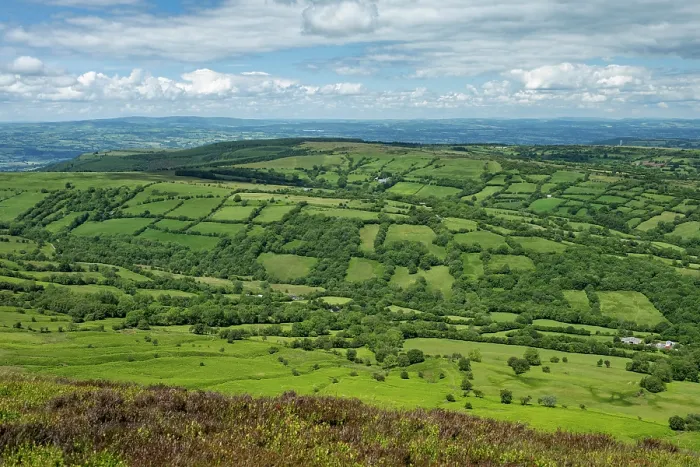 Framed Print : Cefn Hill with small Celtic type fields with tree-lined hedges viewed from Black Hill / Cat's Back, Herefordshire, England, UK. June, 2024 Framed Print : Cefn Hill with small Celtic type fields with tree-lined hedges viewed from Black Hill / Cat's Back, Herefordshire, England, UK. June, 2024