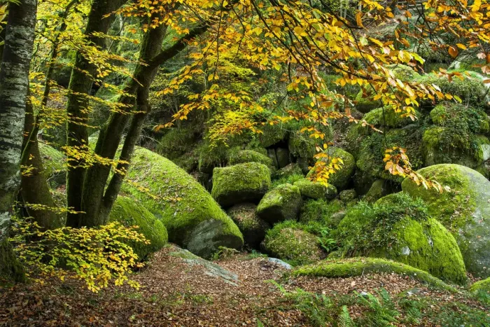 Framed Print : The Chaos of Rocks in autumn, Huelgoat forest, Finistere, Brittany, France, October 2007 Framed Print : The Chaos of Rocks in autumn, Huelgoat forest, Finistere, Brittany, France, October 2007