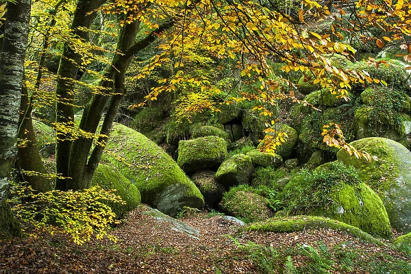 The Chaos of Rocks in autumn, Huelgoat forest, Finistere, Brittany, France, October 2007