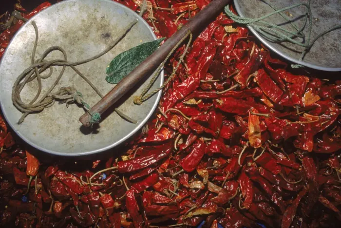 Framed Print : Chillies & weigh scale at Thimphu market, capital city Central Bhutan Framed Print : Chillies & weigh scale at Thimphu market, capital city Central Bhutan