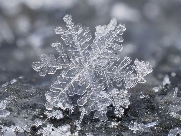Framed Print : Close up of indiviual snow flake on garden table, Hertfordshire, England, UK Framed Print : Close up of indiviual snow flake on garden table, Hertfordshire, England, UK