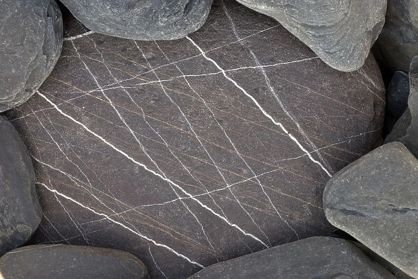 Close-up of stone with white lines on it, Alentejo, Natural Park of South West Alentejano