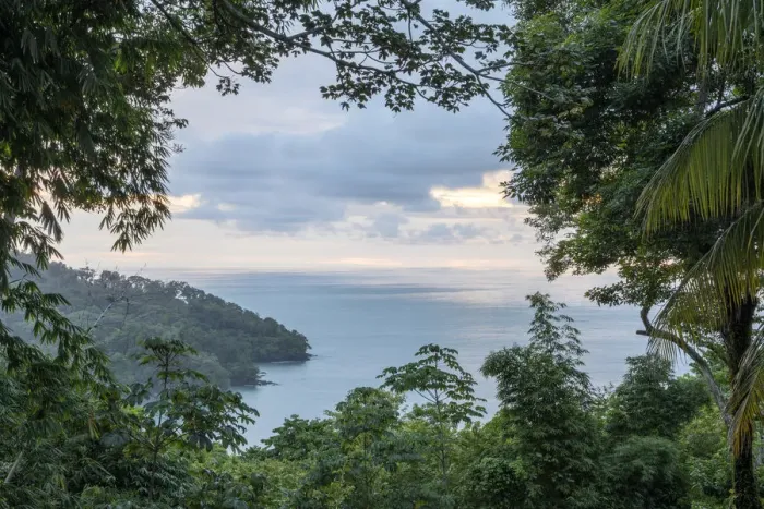Framed Print : Coastal rainforest landscape at the edge of the Pacific Ocean Manuel Antonio National Framed Print : Coastal rainforest landscape at the edge of the Pacific Ocean Manuel Antonio National