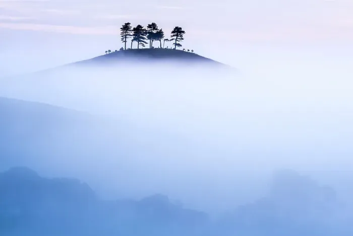 Framed Print : Colmers Hill in morning mist, near Bridport, Dorset, UK. September 2012 Framed Print : Colmers Hill in morning mist, near Bridport, Dorset, UK. September 2012