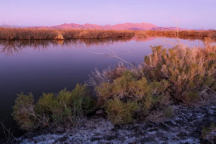 Framed Print : Colorado River at dawn with Sierra El Mayor de Cucapa mountain range in background, near El Indiviso, Baja California, Mexico. November, 2018 Framed Print : Colorado River at dawn with Sierra El Mayor de Cucapa mountain range in background, near El Indiviso, Baja California, Mexico. November, 2018
