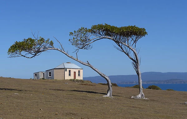 Commandants residence from 1825, Maria Island National Park east coast of Tasmania, Australia
