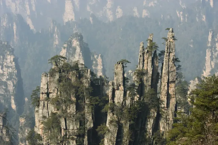 Framed Print : Conifers on sandstone pinnacles, Imperial Pen Peak, Emperor Peak, Zhangjiajie National Forest Park Framed Print : Conifers on sandstone pinnacles, Imperial Pen Peak, Emperor Peak, Zhangjiajie National Forest Park
