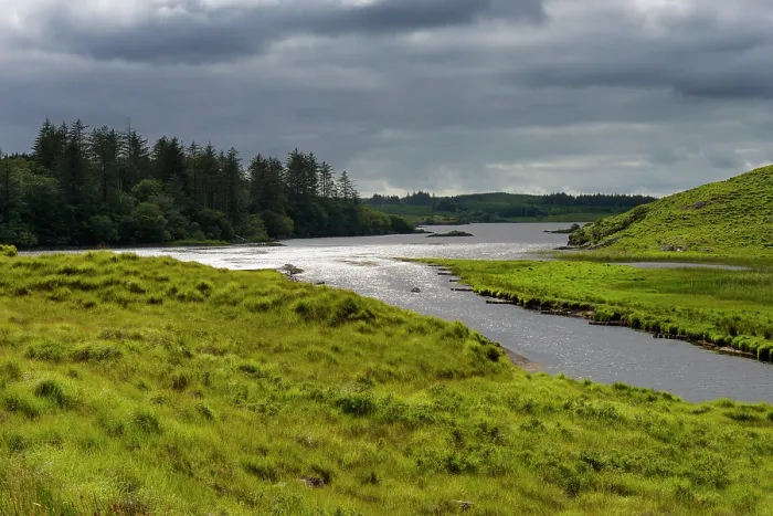 Framed Print : Connemara bog landscape, County Galway, Republic of Ireland. June, 2019 Framed Print : Connemara bog landscape, County Galway, Republic of Ireland. June, 2019