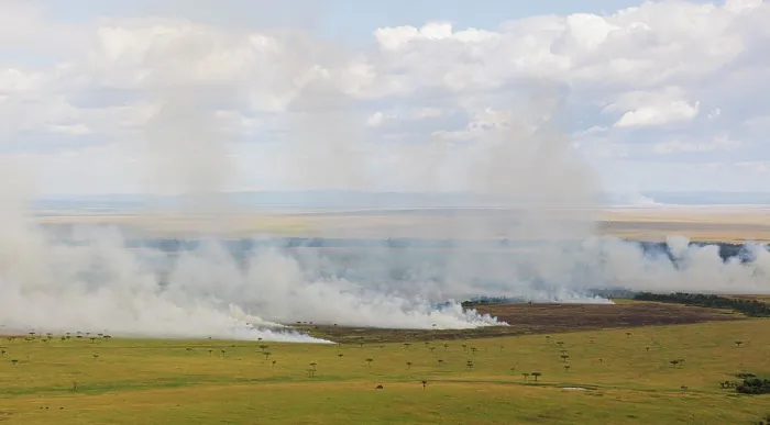 Framed Print : Controlled burning of grassland, Masai Mara National Reserve, Kenya. February, 2024 Framed Print : Controlled burning of grassland, Masai Mara National Reserve, Kenya. February, 2024