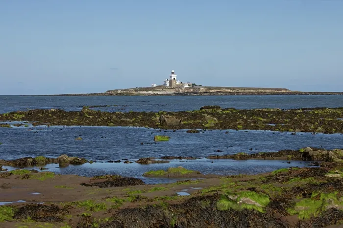 Framed Print : Coquet Island Northumberland GB UK August 2022