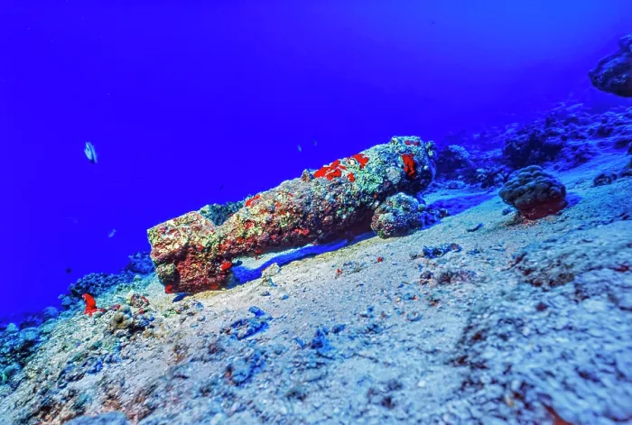 Framed Print : A coral encrusted unexploded bomb at depth off Molokini Marine Preserve in Maui County. This area was used for target practice during World War II. Hawaii, Pacific Ocean Framed Print : A coral encrusted unexploded bomb at depth off Molokini Marine Preserve in Maui County. This area was used for target practice during World War II. Hawaii, Pacific Ocean