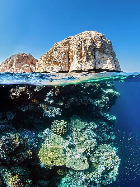 Coral reef below the cliffs of Shark Observatory, Ras Mohammed National Park, Sinai, Egypt, Red Sea