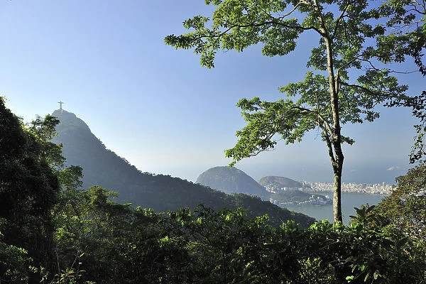 Corcovado Hill and the Christ Redemptor statue in the Atlantic Rainforest of Tijuca National Park