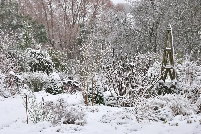 Framed Print : Country garden in winter during snow storm, Dorset, England, UK January, 2013 Framed Print : Country garden in winter during snow storm, Dorset, England, UK January, 2013