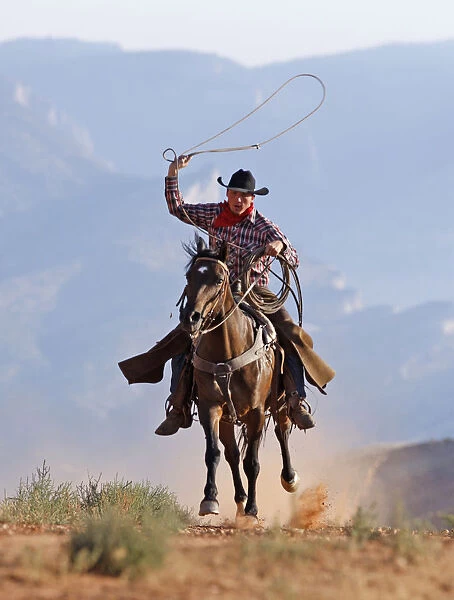 Cowboy running with rope lassoo in hand, Flitner Ranch, Shell, Wyoming, USA, model