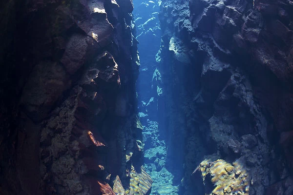 Crack of the continental drift between the North American and Eurasian Plates at Thingvellir