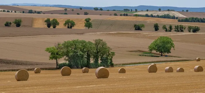 Framed Print : Cultivated farmland and pastures, interspersed with trees and straw bales in foreground, Le Morvan, Nievre, France, north of Massif Central. June, 2023 Framed Print : Cultivated farmland and pastures, interspersed with trees and straw bales in foreground, Le Morvan, Nievre, France, north of Massif Central. June, 2023