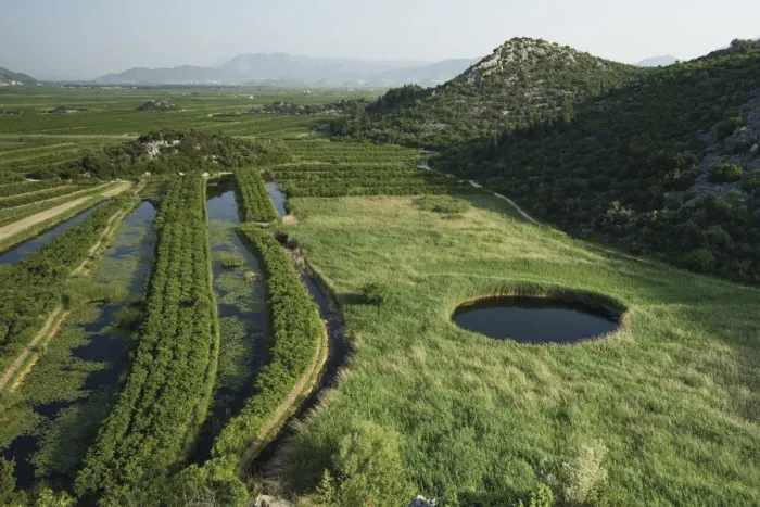Framed Print : Cultivated part of the lower Neretva river delta with a sinkhole in marshland surrounded by Reeds Framed Print : Cultivated part of the lower Neretva river delta with a sinkhole in marshland surrounded by Reeds