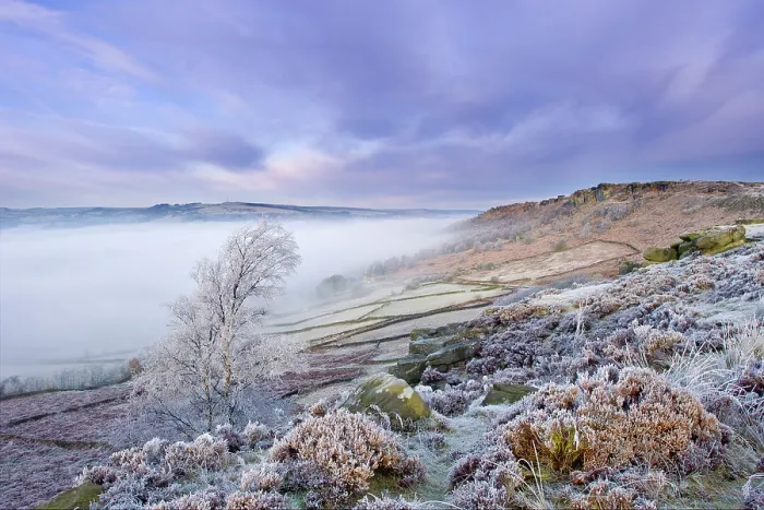 Framed Print : Curbar Edge at dawn, Peak District National Park, Derbyshire, England, UK, December Framed Print : Curbar Edge at dawn, Peak District National Park, Derbyshire, England, UK, December