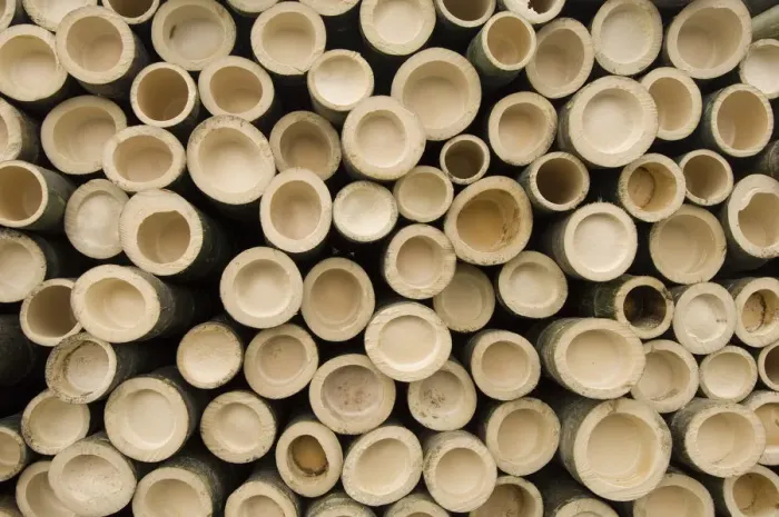 Framed Print : Cut bamboo stems stacked in a pile, end on. Anhui Province, China Framed Print : Cut bamboo stems stacked in a pile, end on. Anhui Province, China