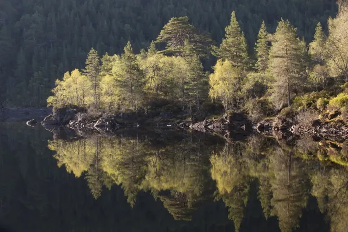 Framed Print : Dawn reflections in Loch Beinn a Mheadhoin, Glen Affric, Wester Ross, Highlands, Scotland Framed Print : Dawn reflections in Loch Beinn a Mheadhoin, Glen Affric, Wester Ross, Highlands, Scotland