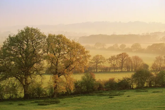 Framed Print : Dawn at Staunton Caundle, Dorset, English countryside, UK England
