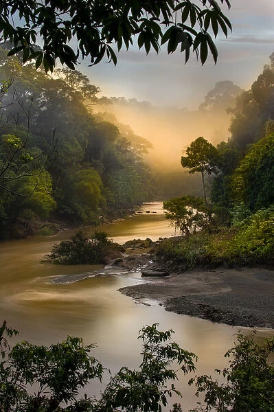 Dawn  /  sunrise over the Segama River, with mist hanging over lowland Dipterocarp rainforest