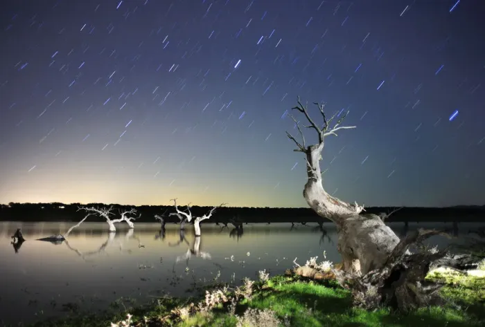 Framed Print : Dead Holm oak trees {Quercus ilex} in lake, at night with star trails in sky, Caceres Framed Print : Dead Holm oak trees {Quercus ilex} in lake, at night with star trails in sky, Caceres