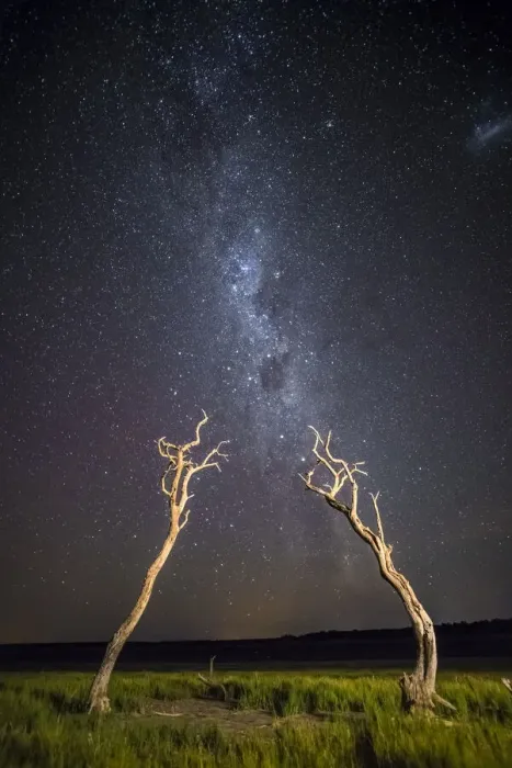 Framed Print : Dead trees and milky way, La Pampa, Patagonia, Argentina Framed Print : Dead trees and milky way, La Pampa, Patagonia, Argentina