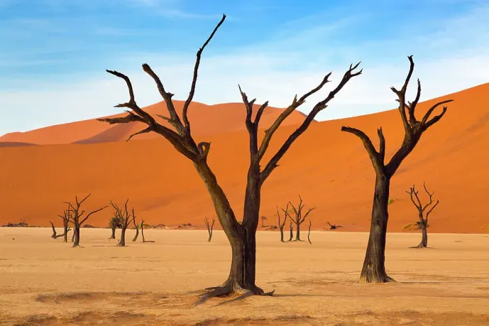 Framed Print : Deadvlei with dead Camel thorn trees, Namib-Naukluft National Park, Namib Desert, Namibia Framed Print : Deadvlei with dead Camel thorn trees, Namib-Naukluft National Park, Namib Desert, Namibia