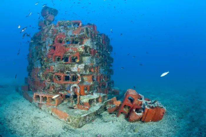 Framed Print : One of the deeper artificial reefs, Larvotto Marine Reserve, Monaco, Mediterranean Sea Framed Print : One of the deeper artificial reefs, Larvotto Marine Reserve, Monaco, Mediterranean Sea