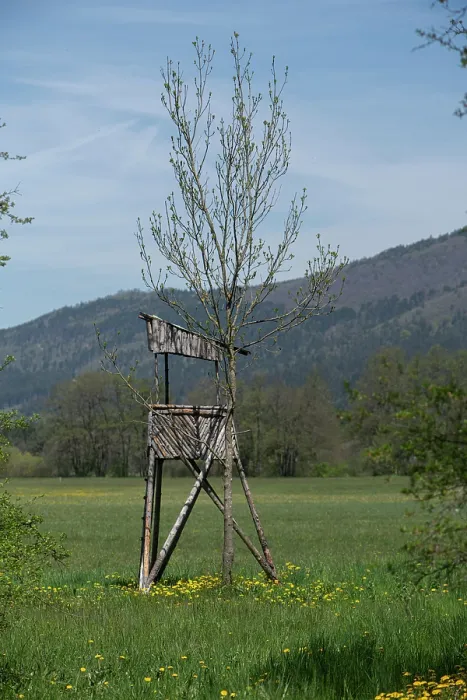Framed Print : Deer stalking hide, Slovenia. May, 2023 Framed Print : Deer stalking hide, Slovenia. May, 2023