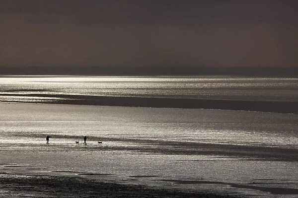 Dog walkers walking along The Wash in evening low tide, Norfolk, UK August 2013