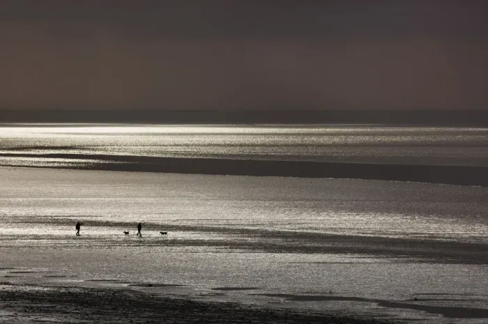 Framed Print : Dog walkers walking along The Wash in evening low tide, Norfolk, UK August 2013 Framed Print : Dog walkers walking along The Wash in evening low tide, Norfolk, UK August 2013