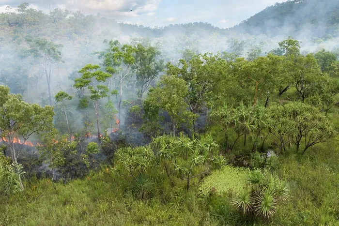 Framed Print : Drone view of a wet season fuel reduction burn taking place on a privately owned conservation property, Adelaide River Hills, Northern Territory, Australia. January, 2025 Framed Print : Drone view of a wet season fuel reduction burn taking place on a privately owned conservation property, Adelaide River Hills, Northern Territory, Australia. January, 2025