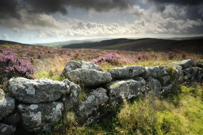 Framed Print : Dry stone wall, near Birch tor, Dartmoor NP, Devon. September 2008 Framed Print : Dry stone wall, near Birch tor, Dartmoor NP, Devon. September 2008