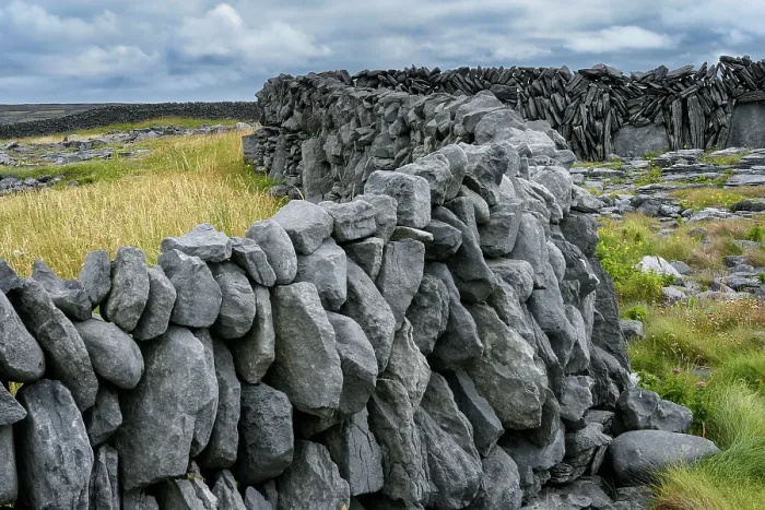 Framed Print : Drystone wall, Inisheer, Aran Islands, County Galway, Republic of Ireland. June, 2019 Framed Print : Drystone wall, Inisheer, Aran Islands, County Galway, Republic of Ireland. June, 2019