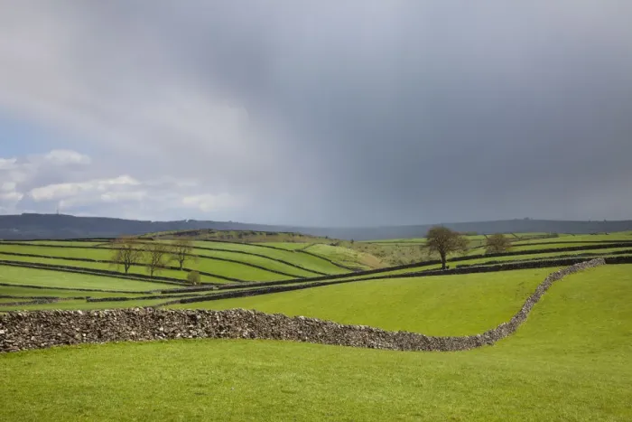 Framed Print : Drystone walls near Litton, Peak District National Park, Derbyshire, UK, May Framed Print : Drystone walls near Litton, Peak District National Park, Derbyshire, UK, May