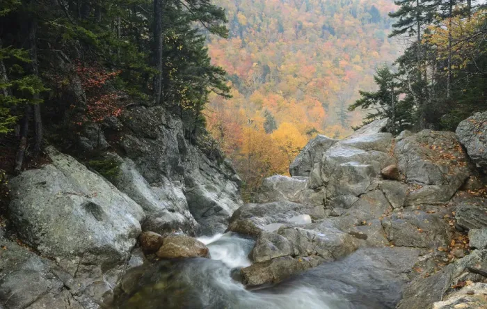 Framed Print : Ellis River high in White Mountain National Forest. New Hampshire, October 2012 Framed Print : Ellis River high in White Mountain National Forest. New Hampshire, October 2012
