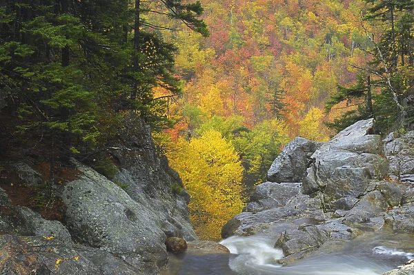 Ellis River, White Mountains, New Hampshire, USAm October 2007