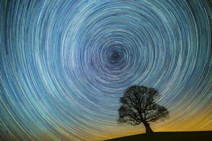 Framed Print : English oak tree (Quercus robur) at night silhouetted against circle of star trails Framed Print : English oak tree (Quercus robur) at night silhouetted against circle of star trails