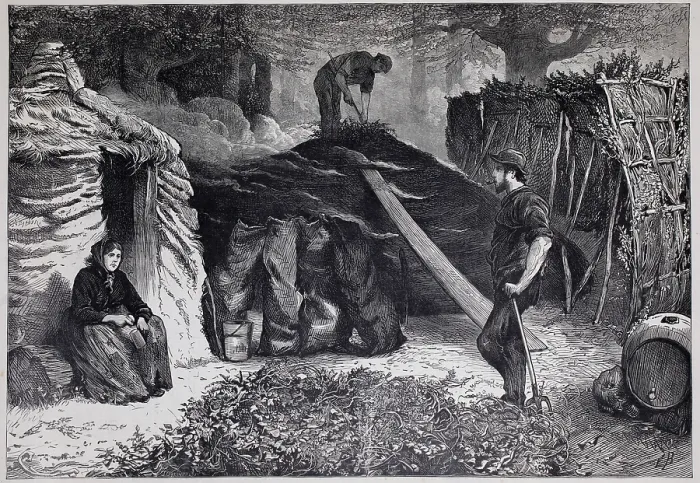 Framed Print : Engraving by Edwin Buckman depicting charcoal burners in Epping Forest, Essex, UK. From the Illustrated London News Nov 8, 1879