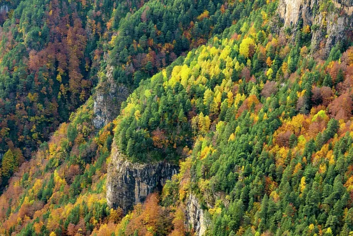 Framed Print : Escuain Canyon, autumn, Ordesa National Park Framed Print : Escuain Canyon, autumn, Ordesa National Park