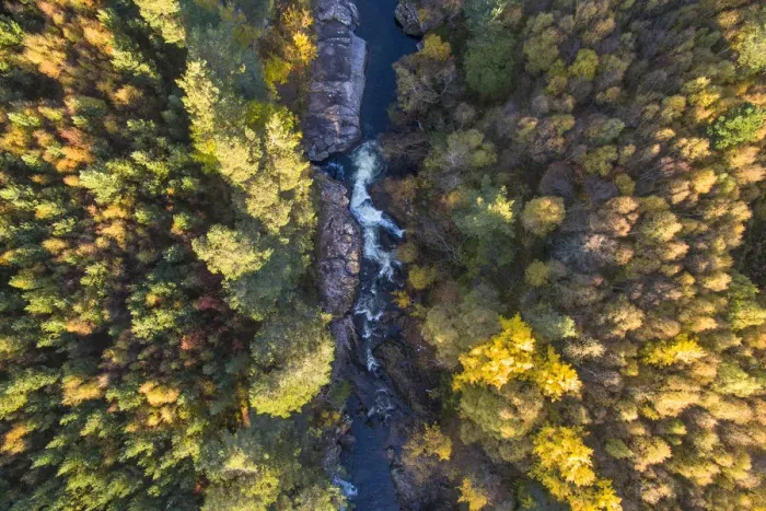 Framed Print : Falls of Truim running through autumnal woodland, Cairngorms National Park, Scotland Framed Print : Falls of Truim running through autumnal woodland, Cairngorms National Park, Scotland