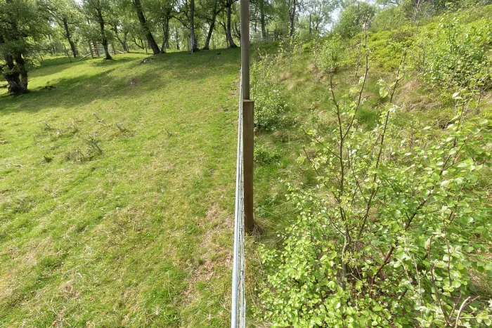 Framed Print : Fenceline showing contrast between sheep grazed and ungrazed Aspen woodland, Cairngorms National Park, Scotland, UK. May, 2023 Framed Print : Fenceline showing contrast between sheep grazed and ungrazed Aspen woodland, Cairngorms National Park, Scotland, UK. May, 2023