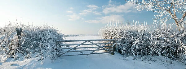 Field gate in snow in evening light, nr Bradworthy, Devon, Uk. December 2010