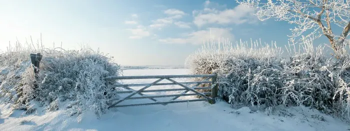 Framed Print : Field gate in snow in evening light, nr Bradworthy, Devon, Uk. December 2010 Framed Print : Field gate in snow in evening light, nr Bradworthy, Devon, Uk. December 2010
