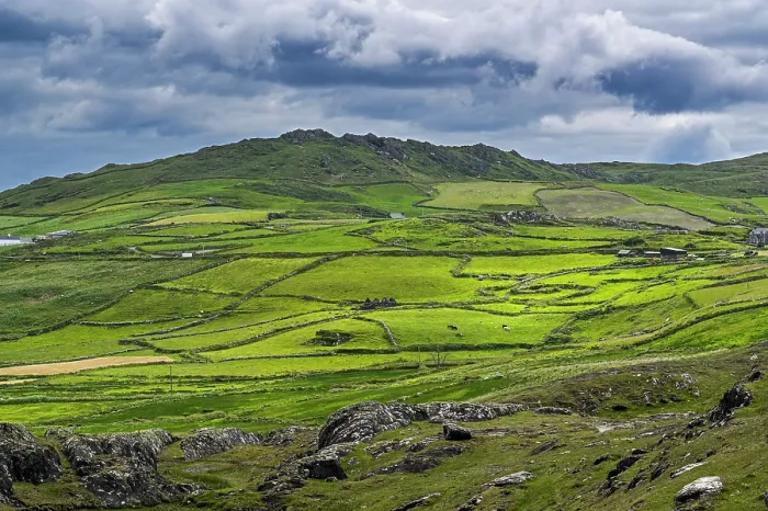 Framed Print : Fields and dry stone walls, Beara Peninsula, County Cork, Republic of Ireland. June, 2022 Framed Print : Fields and dry stone walls, Beara Peninsula, County Cork, Republic of Ireland. June, 2022