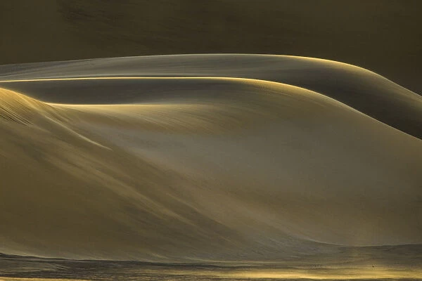 Fine sand dunes smoothed by gentle winds at sunset, in the coastal desert of Dorob