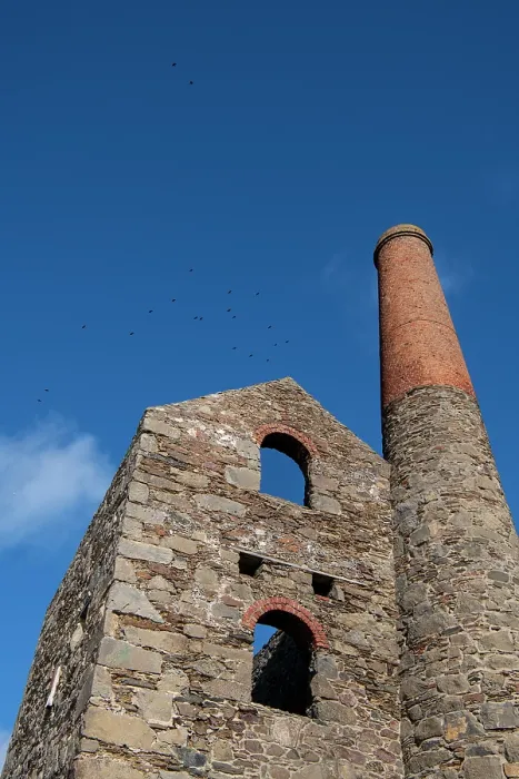 Framed Print : Flock of Rooks (Corvus frugilegus) flying high above the engine house of Wheal Coates tin mine, St. Agnes, Cornwall, England, UK. February Framed Print : Flock of Rooks (Corvus frugilegus) flying high above the engine house of Wheal Coates tin mine, St. Agnes, Cornwall, England, UK. February